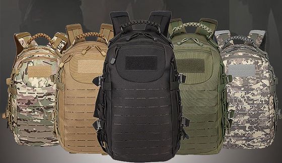 Exercício ao ar livre Mochila à prova d'água com sistema Molle e costas fisiológicas curvas